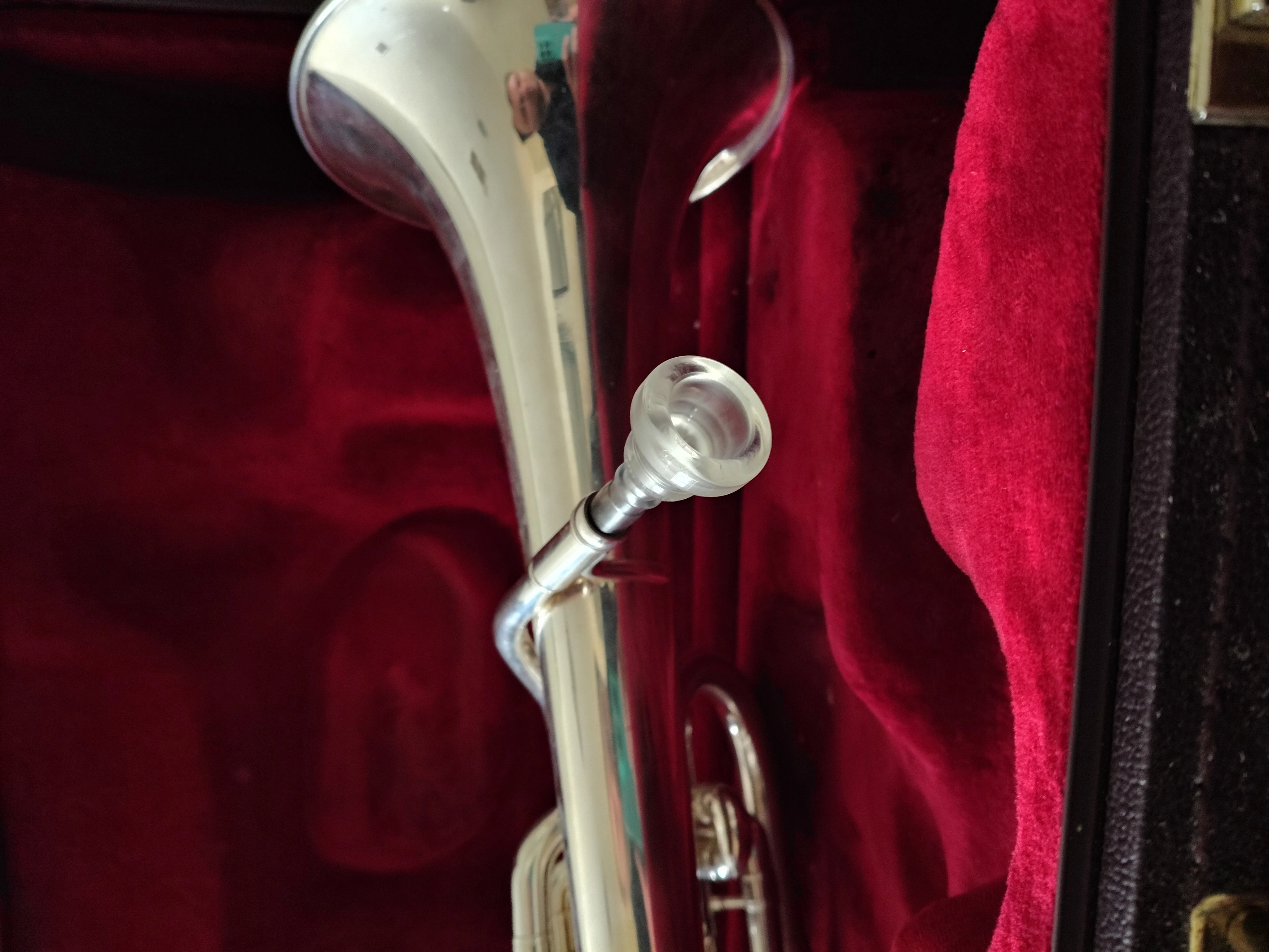 Custom Mouthpieces